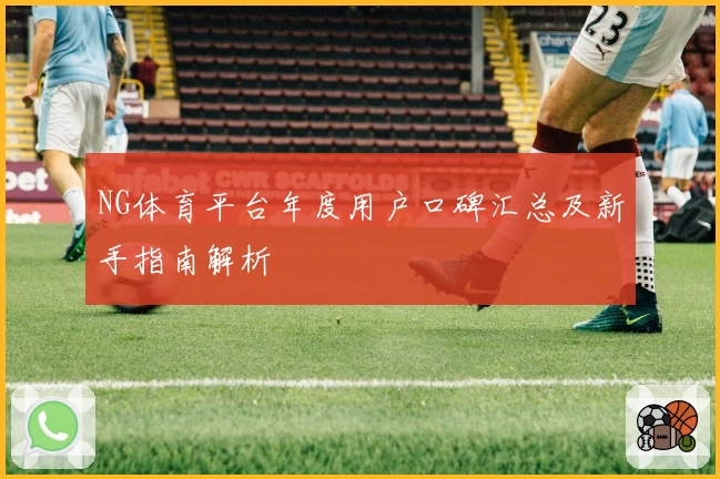 NG体育平台年度用户口碑汇总及新手指南解析