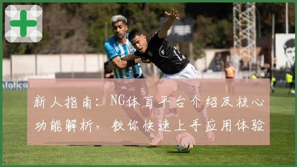 新人指南：NG体育平台介绍及核心功能解析，教你快速上手应用体验