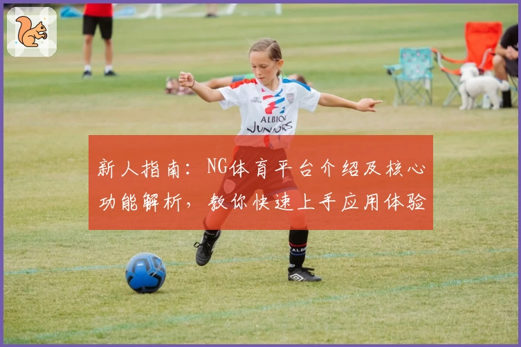 新人指南：NG体育平台介绍及核心功能解析，教你快速上手应用体验